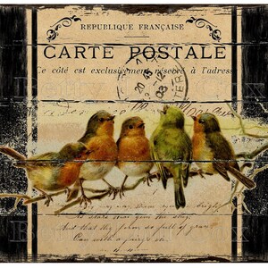 Vintage Bird Print, Teken, Frans land, Transfers, Etiketten, Digitaal, DIY Cadeau, Kaarten maken, Junk Journal, Planner, Graanzak