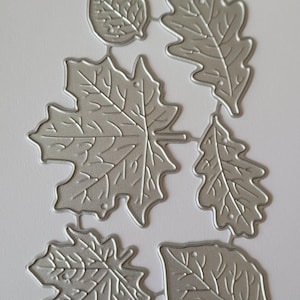 May include: A collection of six silver-colored metal leaf-shaped die cuts. The leaves vary in shape, including maple and oak leaf designs. The die cuts are arranged on a white surface, ideal for crafting and scrapbooking projects.