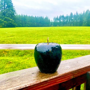 Könnte beinhalten: Eine schwarze Discokugel in Apfelform sitzt auf einem Holzgeländer. Der Hintergrund ist eine grüne Grasfläche mit einem Feldweg und einer Reihe von Bäumen in der Ferne.