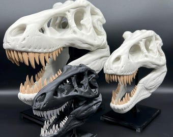 Tレックスの頭蓋骨レプリカ、恐竜の化石モデル、リアルな