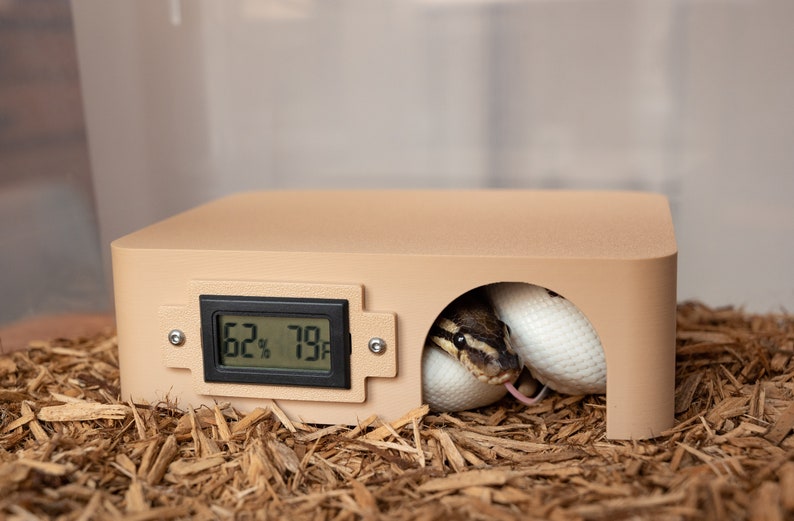 K&ouml;nnte beinhalten: Ein beiger Reptilien Unterschlupf mit einem digitalen Thermometer, das 62% Luftfeuchtigkeit und 79 Grad Fahrenheit anzeigt. Eine wei&szlig;e und braune Schlange ist im Unterschlupf zusammengerollt.