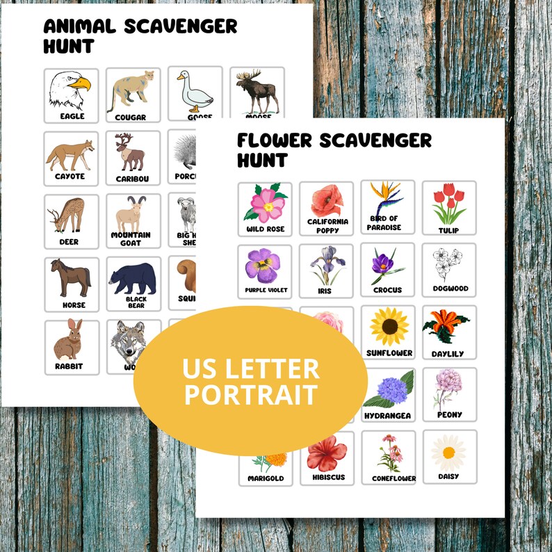 Summer Scavenger Hunt, Activity for Kids and Teens, Wildlife Scavenger ...