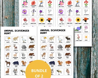 Summer Scavenger Hunt, Activity for Kids and Teens, Wildlife Scavenger Hunt, Flower Game, Outdoor Hunt, Printable Game, Nature Activity