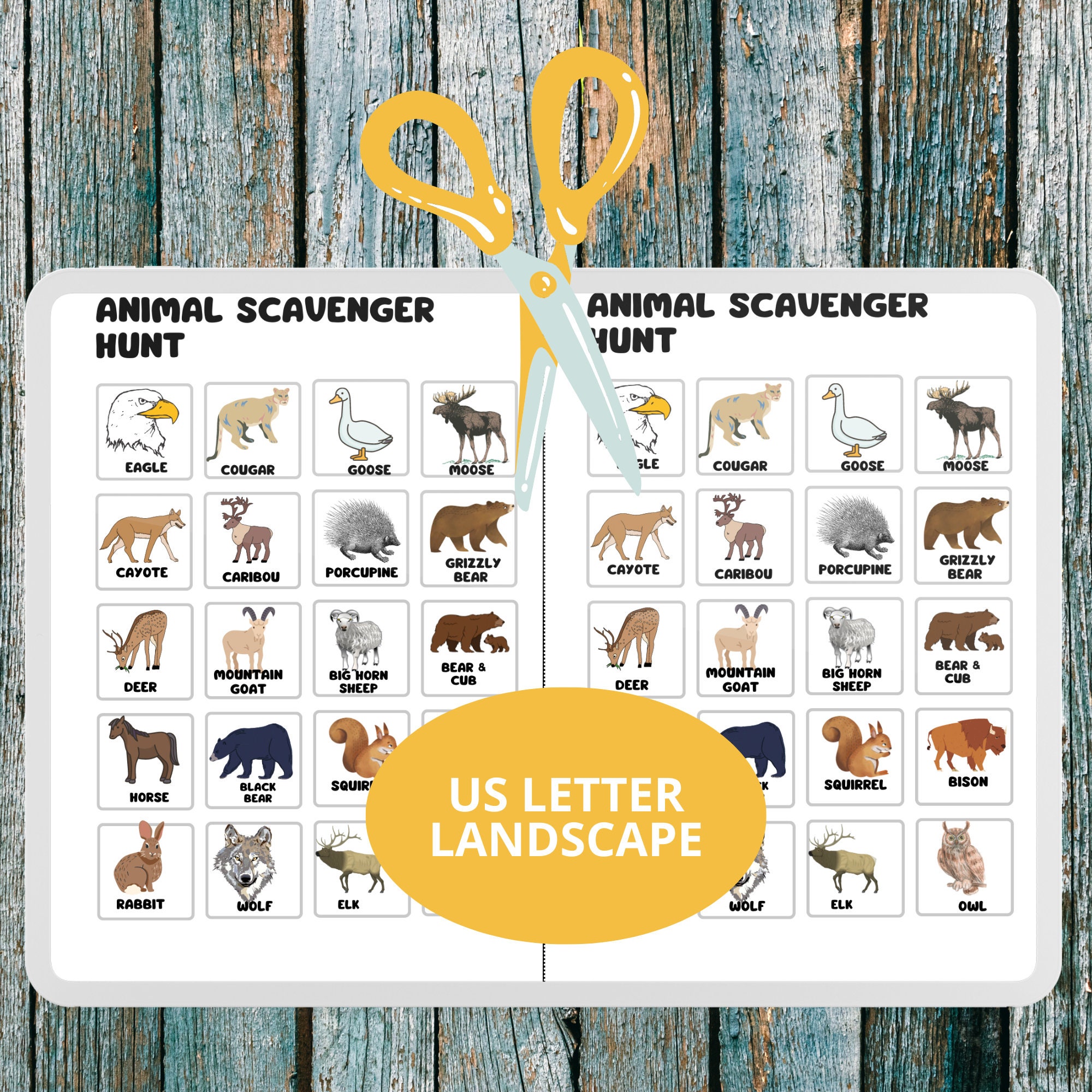 Summer Scavenger Hunt, Activity for Kids and Teens, Wildlife Scavenger ...