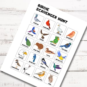 Bird Scavenger Hunt, Backyard Birds Printable for kids and adults, Nature Activity, Bird Photography, Nature Lovers and Bird Enthusiasts