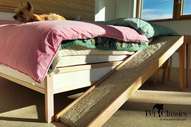 Normal Slope Dog Ramp With a Moderate Incline for Pets With Mild to