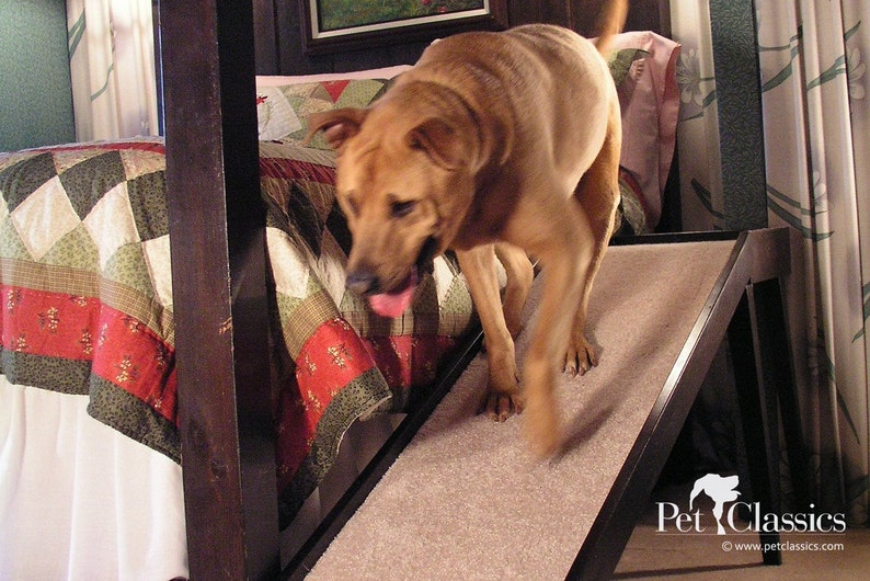 Normal Slope Dog Ramp With a Moderate Incline for Pets With Mild to