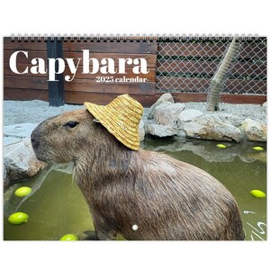 Calendrier De L'Avent Capybara 2025 - Compte à Rebours De Noël Avec 24 Ornements 3D En ABS | Décoration Murale Festive, Cadeau Pour Amoureux Des Animaux