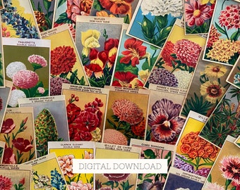 50 Vintage Blumensamen-Etiketten, französische botanische Illustrationen für Floral Junk Journal, antike Lithographien für Garten Scrapbooking