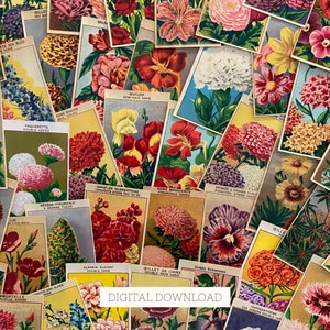 50 rótulos de pacotes de sementes de flores vintage, ilustrações botânicas francesas para diário de juncos florais, litografias antigas para scrapbooking de jardim