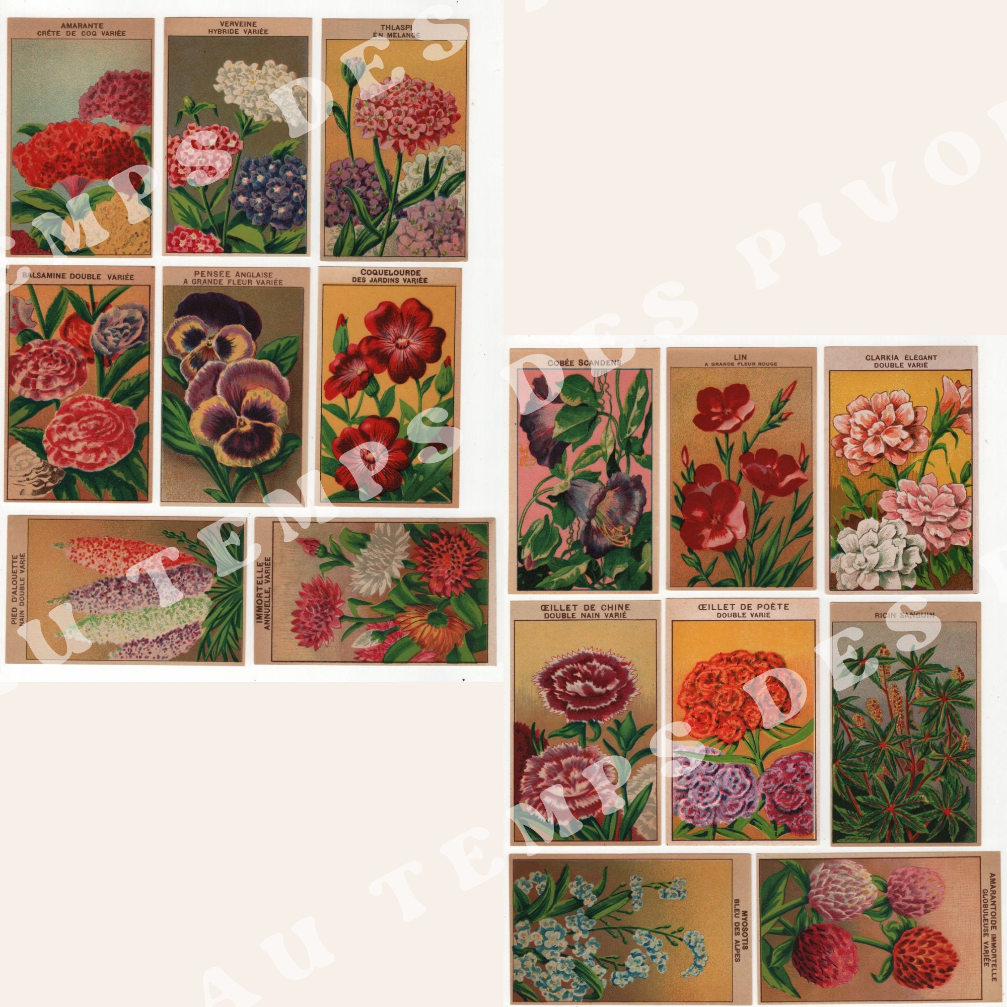 Vintage French Flower Seed Packet Labels: Botanical Ephemera (PDF) - Etsy