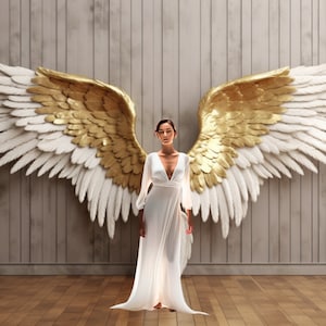 Engelsflügel Digital Backdrops - 10er-Pack Photoshop Overlays für Studio Backdrops, Mutterschaftsfotografie, Fine Art Texturen