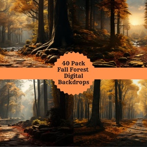 May include: Digital backdrops featuring autumn forest scenes. The image shows multiple views of a forest with paths, steps, and sunlight filtering through the trees. The text "40 Pack Fall Forest Digital Backdrops" is displayed.