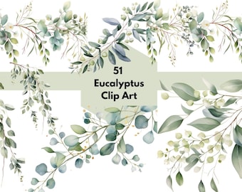 51 Eucalyptus clipart transparent background .pngs