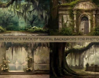 Mystical Charm: Enchanting Southern Gothic Backdrops with Old Stone and Spanish Moss