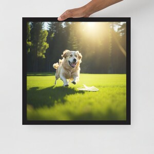 happy dog on a green meadow