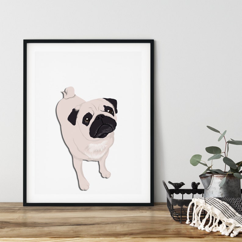 May include: A framed illustration of a pug dog with black fur around its eyes and ears, looking up at the viewer. The dog is standing on a white background.