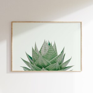 Agave Nature Poster, Green Agave Plant, Succulent Wall Art, Horizontal Print, Boho Dorm Art, Agave Plant Poster, Desert Agave Plant