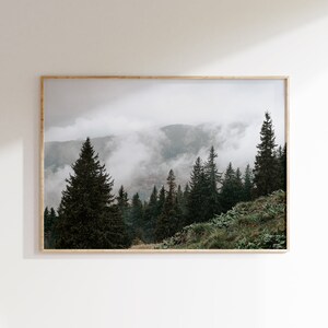 Foggy Forest Landscape, Nature Scenery Print, Forest On Hillside, Evergreen Forest, Rustic Scenery Print, Foggy Landscape Art, Rustic Print