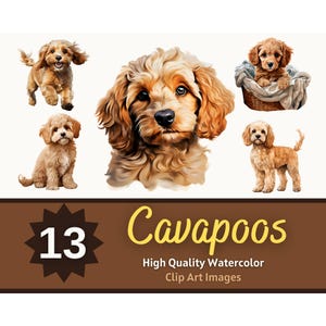May include: A collection of 13 watercolor clip art images of Cavapoo puppies in various poses. The puppies are depicted in shades of brown and tan, with fluffy fur and expressive eyes. The text reads "Cavapoos" and "High Quality Watercolor Clip Art Images".