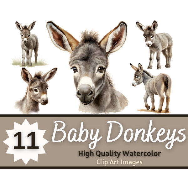 Baby Donkey Watercolor Clipart Bundle | Baby Animals Clipart | Barnyard Birthday | Cute Animals PNG | Baby Donkeys | Farm Animals Clipart