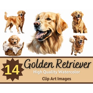 Golden Retriever Aquarell Bundle | Hundeportrait | Retriever Hund PNG | Hundeliebhaber Kunst | Junk Journal Hunde | Cardmaking Verschönerung