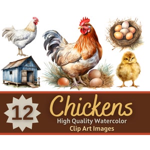 Paquete de acuarela de imágenes prediseñadas de pollo / PNG de pollo / Imágenes prediseñadas de animales de granja para bebés / Baby Shower de corral / Animales lindos PNG / Imágenes prediseñadas de pollito de Pascua