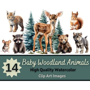 Baby Woodland Animals Clipart Watercolor Bundle | Woodland Nursery | Woodland Animals Clipart PNG | Baby Animal Nursery Prints | Baby Shower