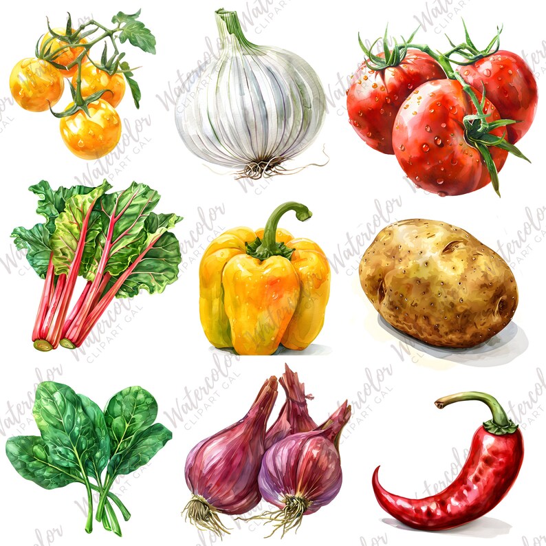 Vegetable Clipart Watercolor Bundle | Vegetable Plant PNG | Food ...