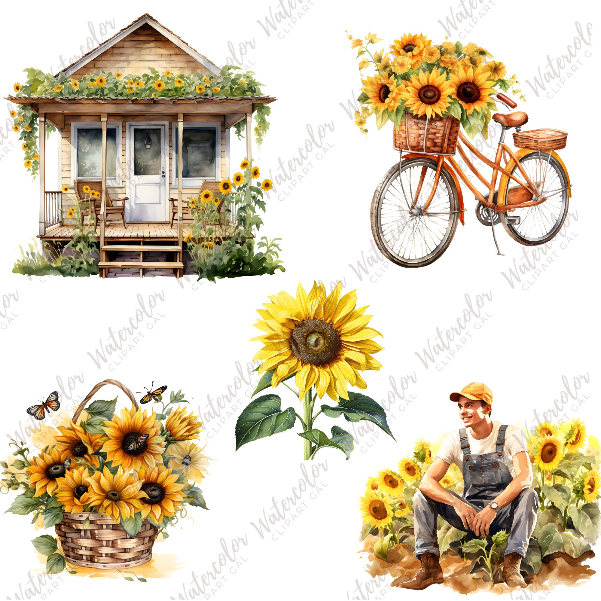 Sunflower Clipart Watercolor PNG Bundle Sunflower Junk - Etsy