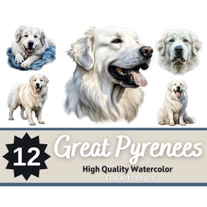 Lot de cliparts aquarelle des Grandes Pyrénées | Portrait de chien | Grandes Pyrénées PNG | Chiens commémoratifs pour animaux de compagnie | Journal indésirable pour chiens | Chien Impression artistique