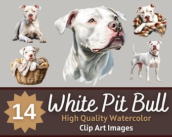 White Pit Bull Clipart Watercolor Bundle | Dog Portrait | Pit Bull PNG | Dog Lover Art | Junk Journal Dogs | Cardmaking Embellishment