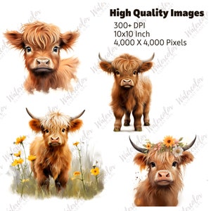 Baby Highland Cow PNG Watercolor Bundle | Baby Animal Clipart | Baby ...