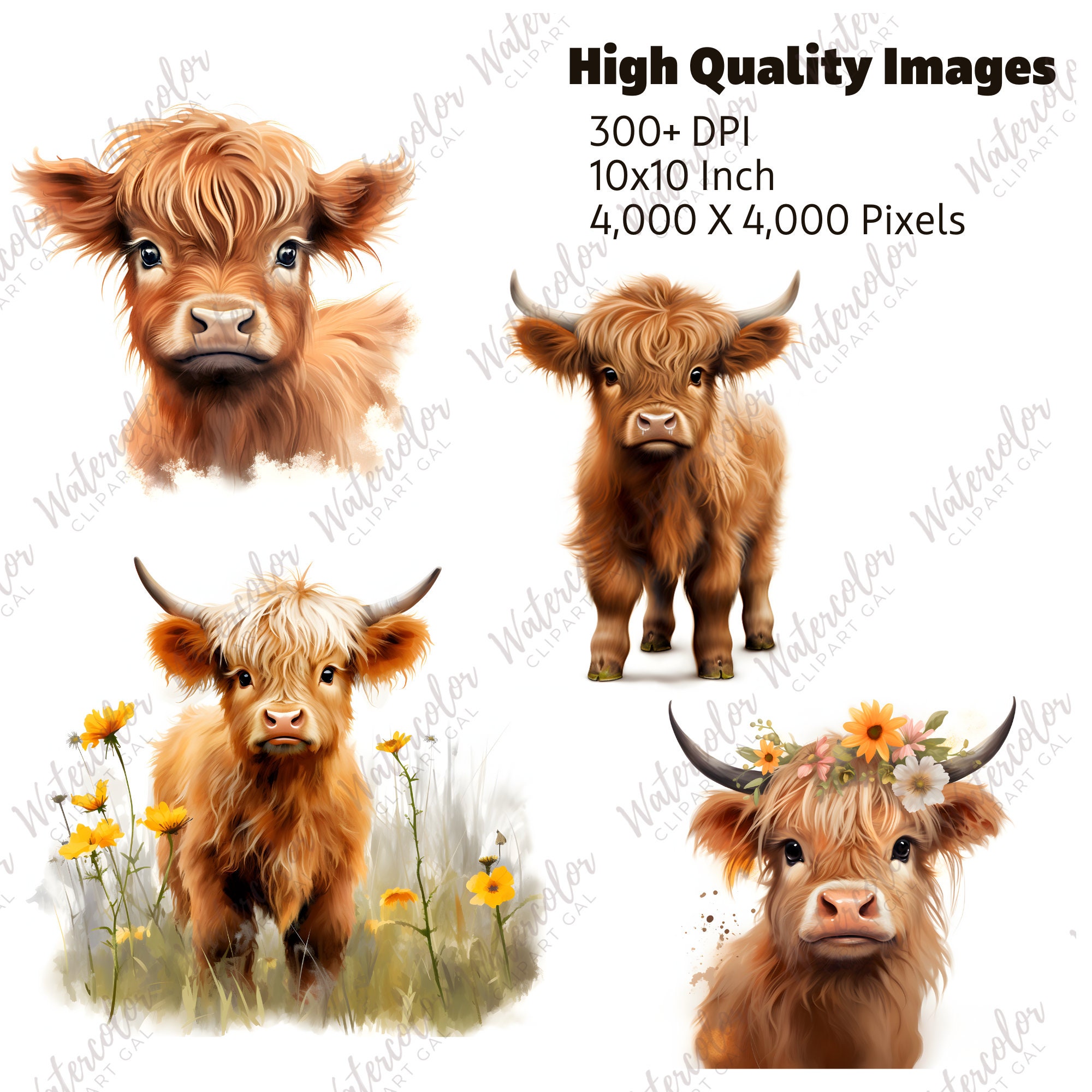 Baby Highland Cow PNG Watercolor Bundle Baby Animal Clipart Baby Animal ...