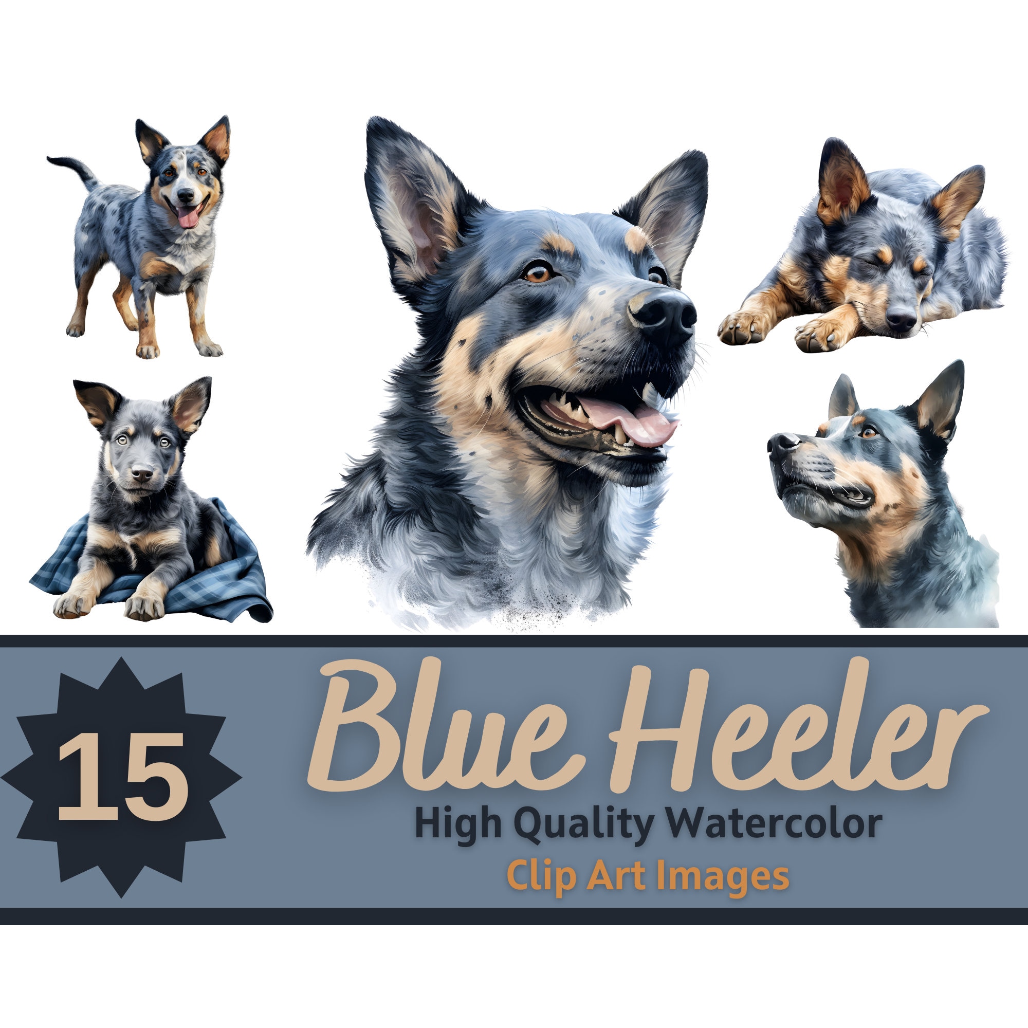 Pakiet akwareli Blue Heeler clipart | Portret psa | Niebieski obcas PNG | Sztuka miłośnika psów | Psy z dziennika śmieci | Druk artystyczny w kolorze niebieskiego obcasa