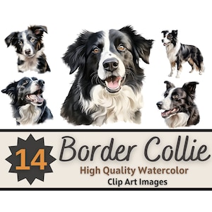 Border Collie Clipart aquarelle Bundle | Portrait de chien | Border Collie PNG | Art amoureux des chiens | Chiens commémoratifs pour animaux de compagnie | Embellissement de la fabrication de cartes