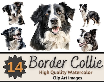 Border Collie Clipart Watercolor Bundle | Dog Portrait | Border Collie PNG | Dog Lover Art | Pet Memorial Dogs | Cardmaking Embellishment