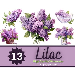Lilas Fleur Clipart PNG Aquarelle Bundle | Lilas PNG | Clipart floral | Fleurs Clipart | Journal floral indésirable | Embellissement de fabrication de cartes