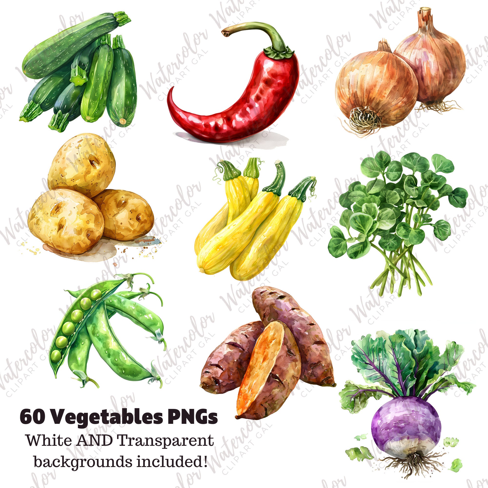 Vegetable Clipart Watercolor Bundle | Vegetable Plant PNG | Food ...