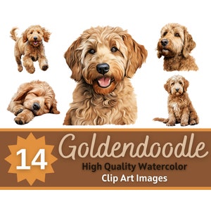 Goldendoodle clipart aquarel bundel | Hondenportret | Gouden doodle, png-bestand |  Hondenliefhebberkunst | Junk Journal Honden | Versiering kaarten maken