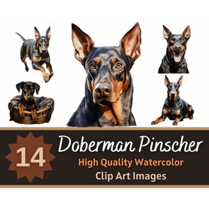 Doberman Pinscher Clipart Watercolor Bundle | Dog Portrait | Doberman PNG | Junk Journal Dogs | Doberman Mom | Cardmaking Embellishment