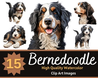 May include: A set of 15 watercolor illustrations of Bernedoodle dogs in various poses. The illustrations are in a cartoon style and feature the dogs in different colors, including black, white, and brown.