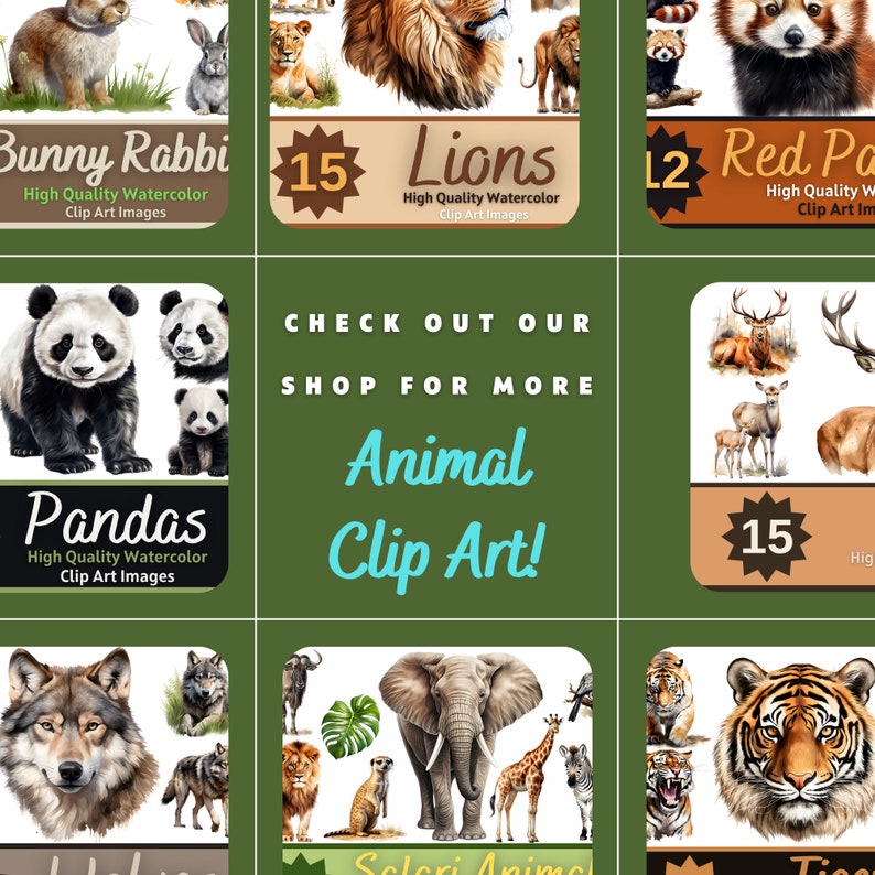 Bear PNG Watercolor Bundle | Bear Clipart | Animal Clipart | Woodland ...
