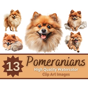Pomeranian Clipart Watercolor Bundle | Dog Portrait | Pomeranian PNG | Dog Lover Art | Junk Journal Dogs | Cardmaking Embellishment