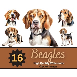 Beagle Clipart aquarelle Bundle | Portrait de chien | Beagle PNG | Chiens commémoratifs pour animaux de compagnie | Chiens de journal indésirable | maman chien | Embellissement de la fabrication de cartes