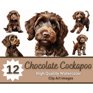 Chocolate Cockapoo Clipart Watercolor Bundle | Dog Portrait | Chocolate Cockapoo PNG | Pet Memorial Dogs | Cardmaking Embellishment