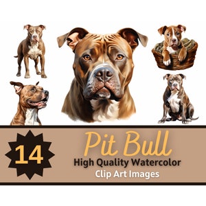 Pitbull clipart aquarel bundel | Hondenportret | Pitbull, png-bestand |  Hondenliefhebberkunst | Junk Journal Honden | Versiering kaarten maken