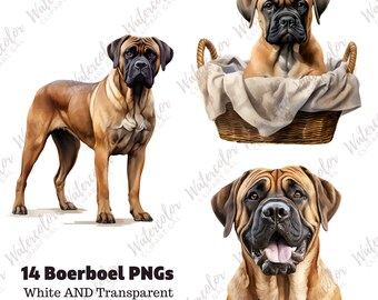 Boerboel Clipart Watercolor Bundle Dog Portrait Boerboel PNG