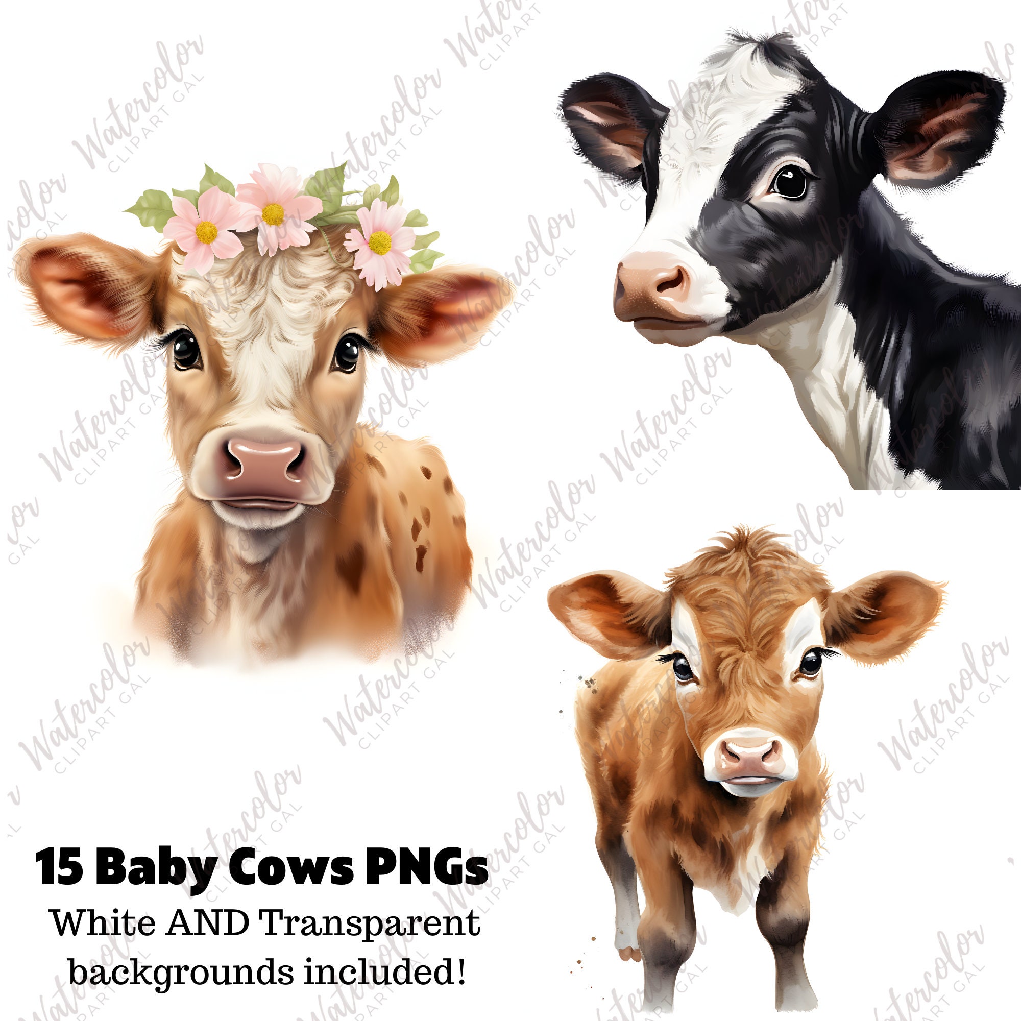 Baby Cow PNG Watercolor Bundle Baby Animals Clipart - Etsy