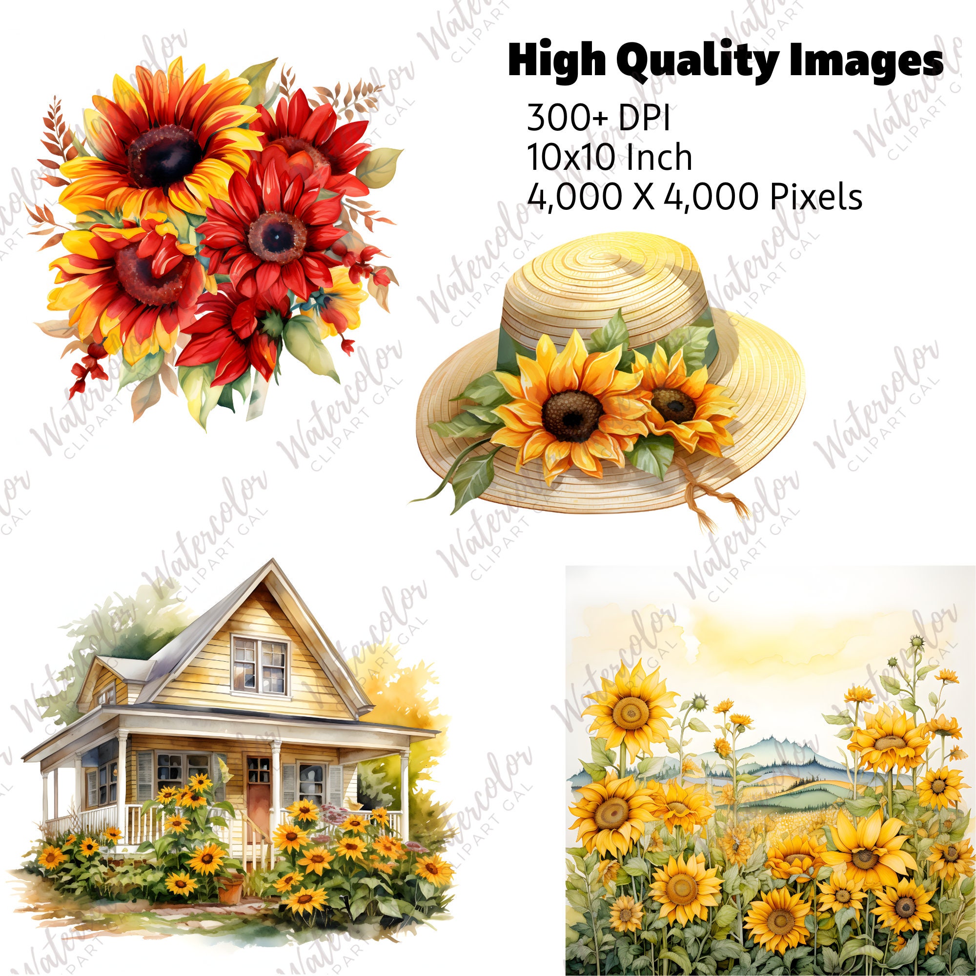 Sunflower Clipart Watercolor PNG Bundle Sunflower Junk - Etsy